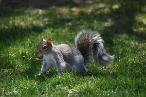 Industrial pest control service Ontario