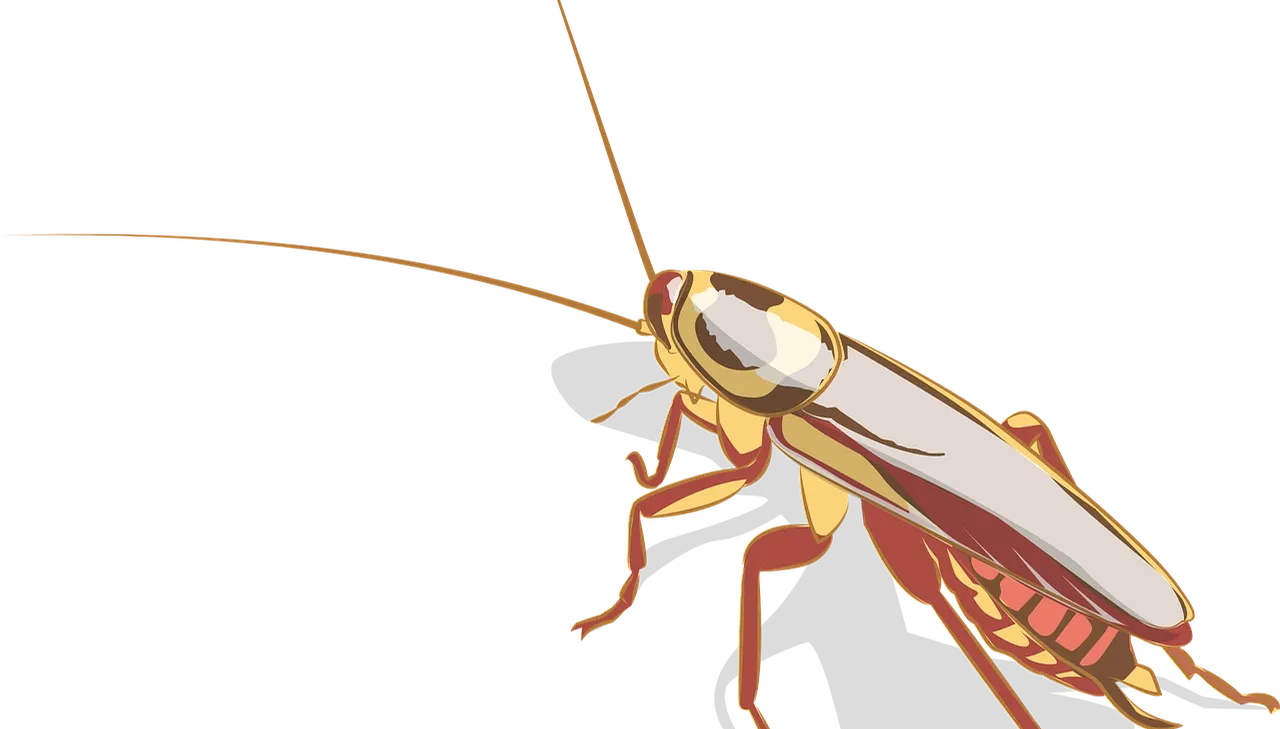 pests-and-wildlife-control-toronto